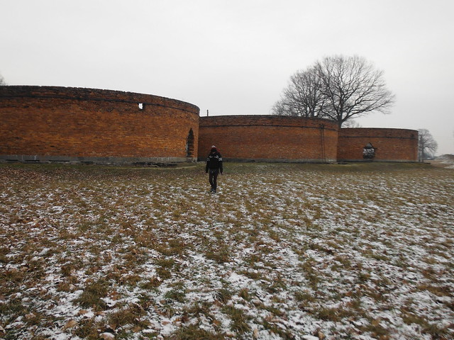 4 días en Varsovia y Cracovia,  con temperaturas bajo cero - Blogs de Polonia - Campo de concentración de Auschwitz y Minas de Sal de Weliczka (11)