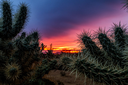 sunset sky nature clouds desert needles