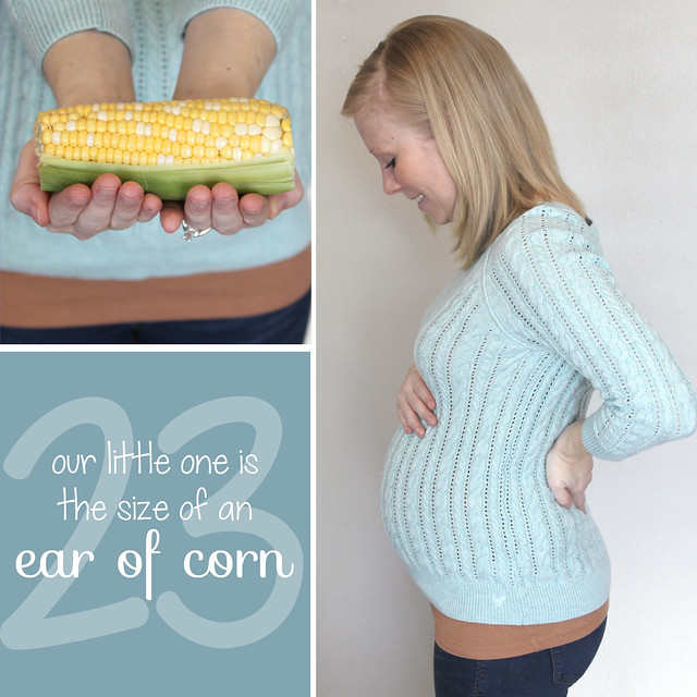 Week 23_Corn