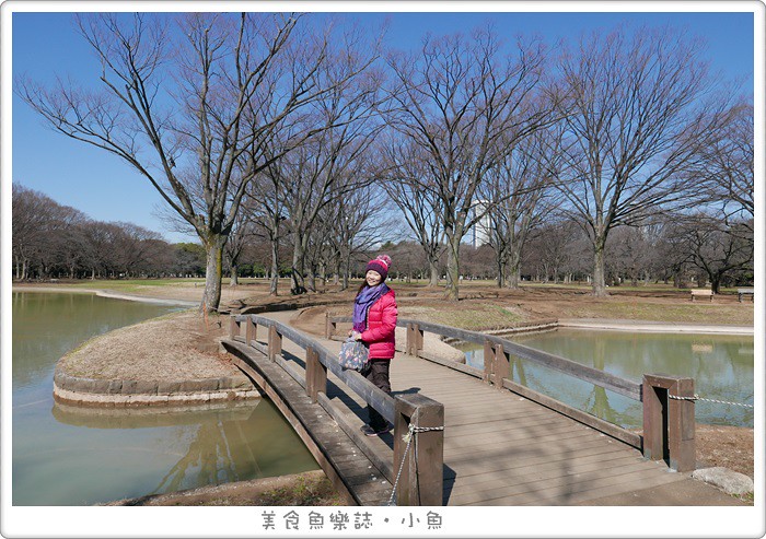 【日本東京】代代木公園/賞櫻散步遛小孩 @魚樂分享誌