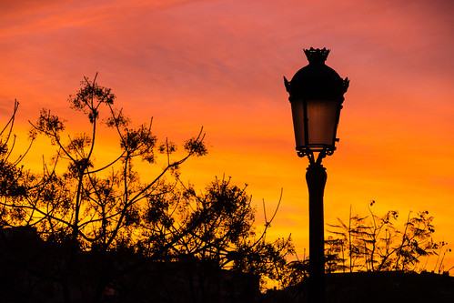 morning trees sky orange silhouette clouds sunrise branch colours lamppost