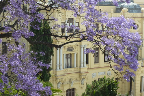 sunshine spain blossom may espana jacaranda andalusia shining malaga magnificent artisticpictures exoticimage bestofshining shiningexcellence netartii digitalartscenecertifiedecellence