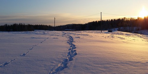 winter sky snow cold sunshine mobile clouds finland phone path tracks samsung marks freeze cellphonephoto kerava rabbittracks jaakkola ahjo sakarip sorsakorpi