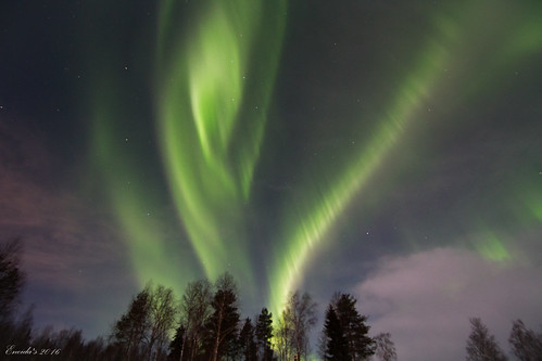 Northern Lights at Rovaniemi