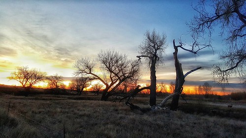 cameraphone trees light grass sunrise project colorado samsung deer smartphone galaxy co 365 february available s6 2016 project365