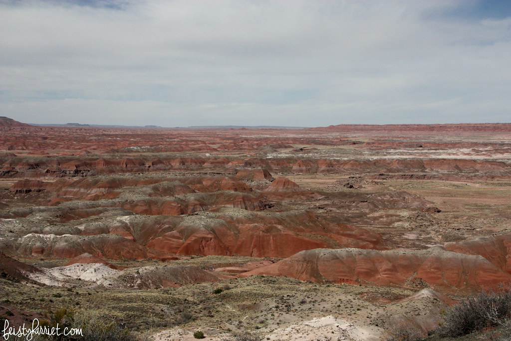 Petrified Forest NP 2_feistyharriet_March 2016