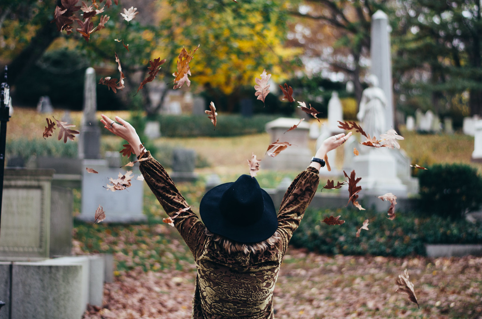 Free People Fall in Mount Auburn Cemetery on juliettelaura.blogspot.com