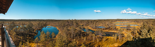 summer panorama tower forest woodland landscape woods estonia view platform baltic peat vista bog gulfoffinland lahemaanationalpark quagmire kolga 7stitchedimages harjumaakond