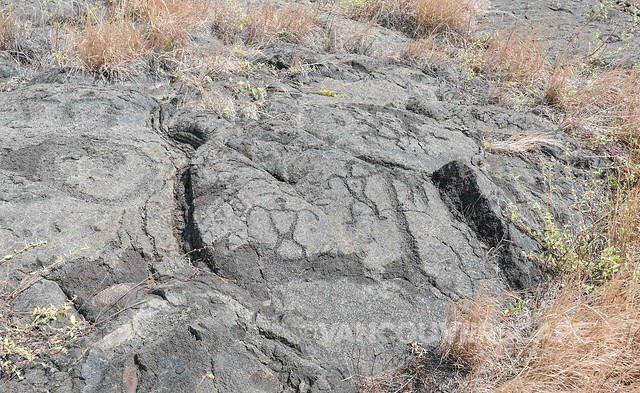 Petroglyphs-1