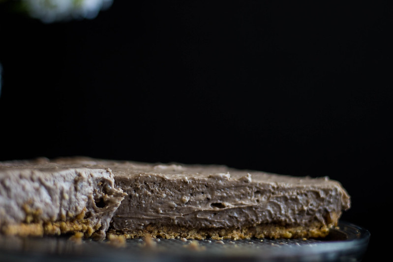 No-Bake S'mores Cookie Butter Cheesecake // TermiNatetor Kitchen