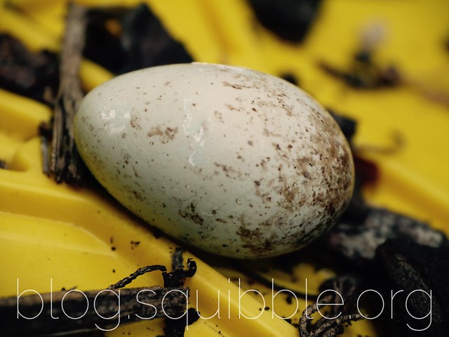 Project 365 25/12/2015 - Egg