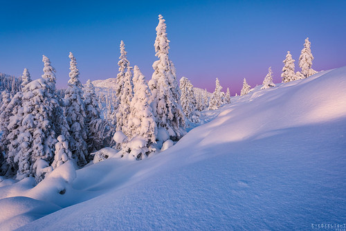 morning pink trees winter mountain snow mountains cold tree norway fairytale forest sunrise snowshoe early purple hiking hike snowshoeing bluehour lilla kongsberg knutefjellet buskerud knutefjell knutehytta