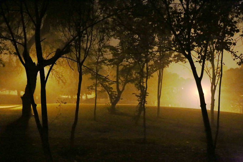 100 Things to Do Before You Quit Delhi – Night Walk, Lodhi Gardens