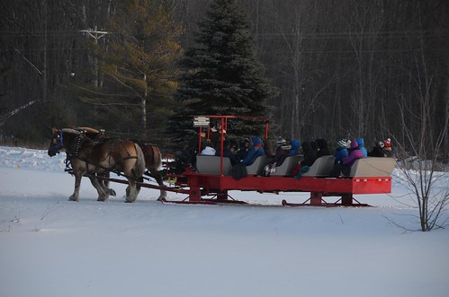 bridge trees winter horse snow cold sport mi forest golf bay cabin woods day carriage ride outdoor michigan 14 scenic resort course gourmet trail mich dining supper elk february drawn sleigh viewing thunder hillman alpena 2016 “snow valentine’s covered”