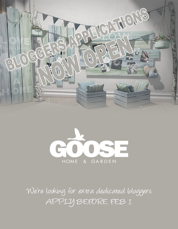 goose bloggers applications now open