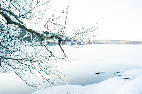 winter lake snow tree ice water norway landscape frost branch outdoor 28mm shade telemark jostein lensblr ilce7