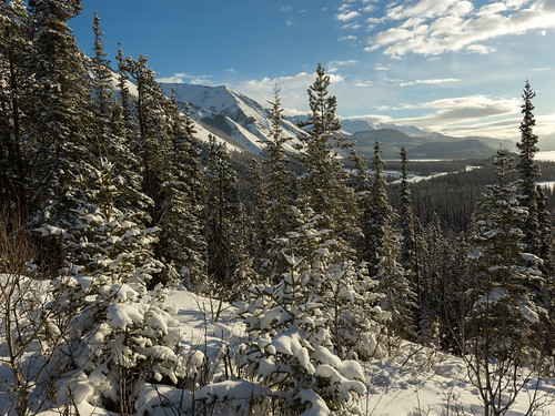 ca canada britishcolumbia alaskahighway northernrockiesb northernrockiesregionalmunicipality