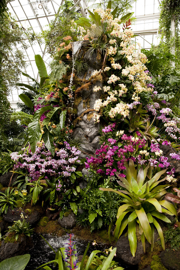 The Orchid Show Orchidelirium Photo By Ivo M Vermeulen Flickr