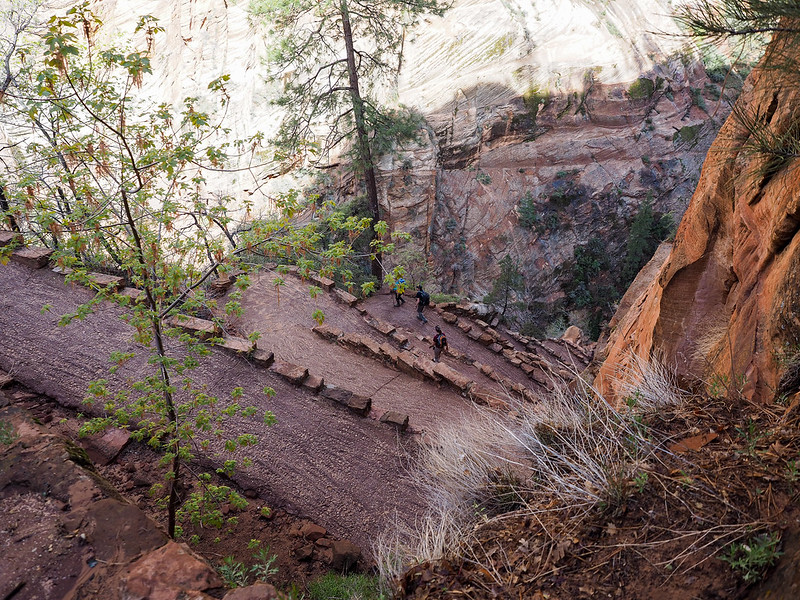 Walter's Wiggles on the Angels Landing Trail