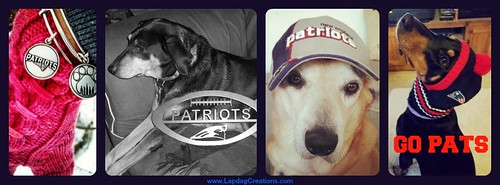 New England Patriots Petriots #LapdogCreations #dogs #houndmix #rescueddogs #adoptdontshop #dobermanpuppy #seniordogs #rescueddogsrock