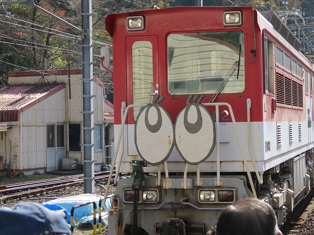 Riding the Torokko train on the Ikawa Line on the Oigawa Railway