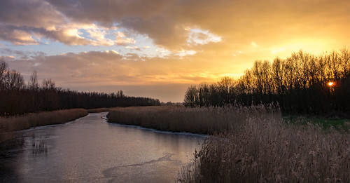 trees winter sunset orange ice reed water landscape sundown middendelfland migrantbirds nederlandvandaag