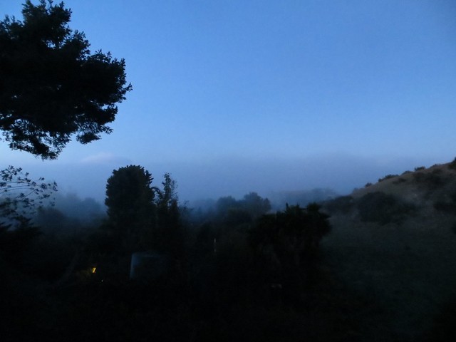 fog rolls in
