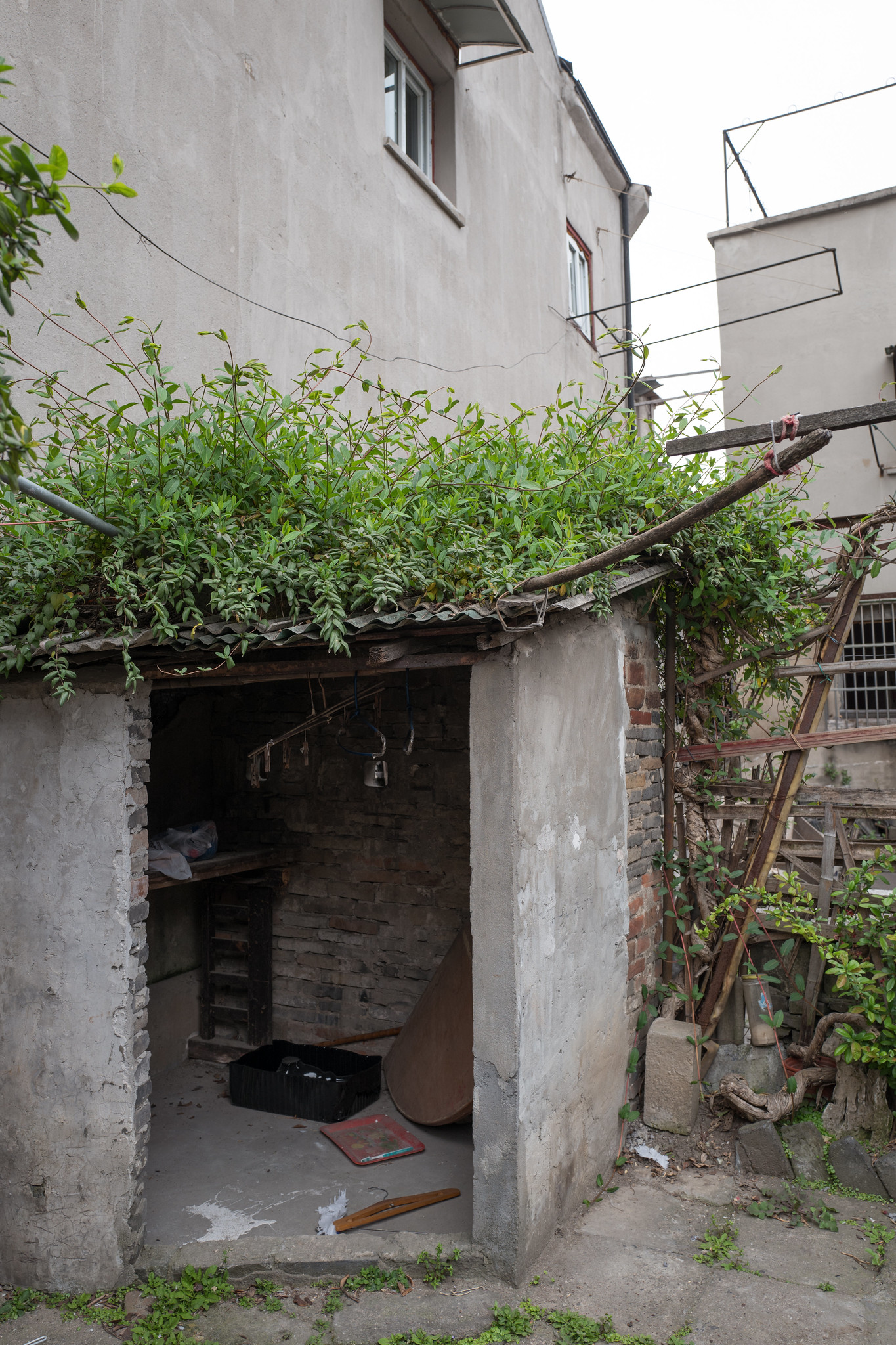 位於上海多倫路名人街附近的傳統小區，美到不行的小弄堂