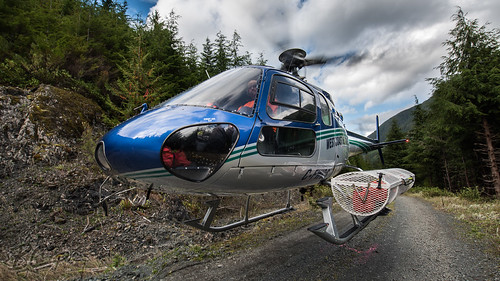 canada chopper britishcolumbia aircraft aviation vancouverisland helicopter airbus heli eurocopter astar aerospatiale as350b victorialake bcpics westcoasthelicopters cfwcs