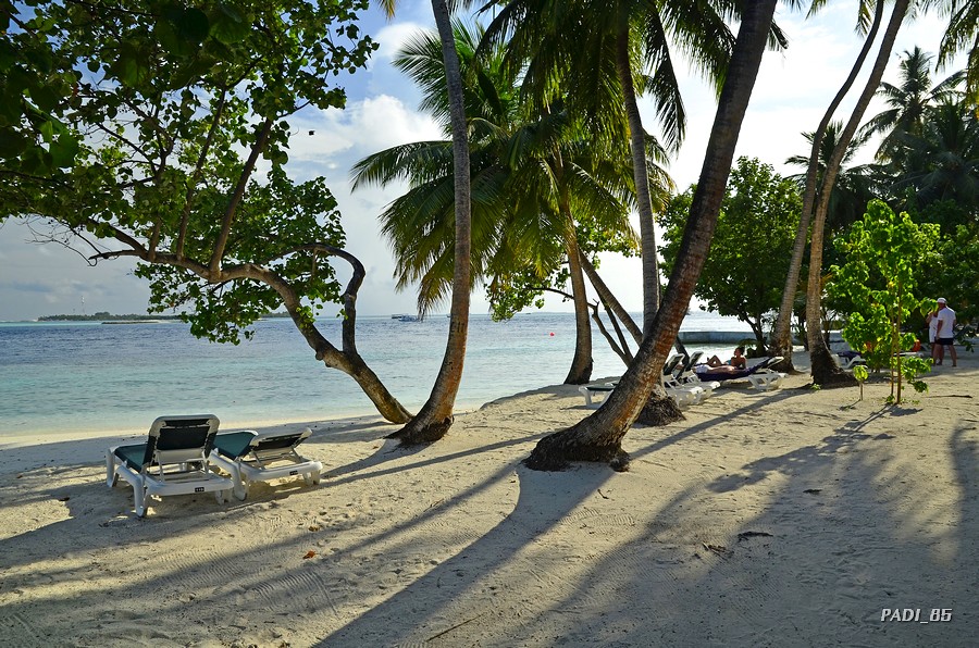 SOÑANDO DESPIERTO EN MALDIVAS - Blogs de Maldivas - RECORRIENDO LA ISLA (17)