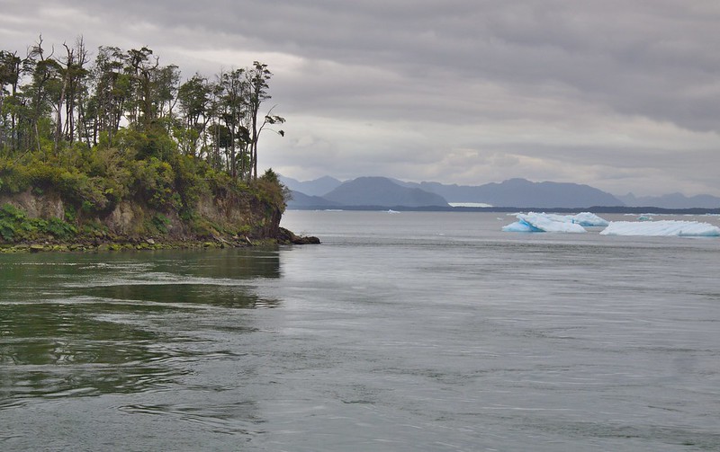 Laguna San Rafael. Donde el campo de hielo continental llega hasta el mar. - Por el sur del mundo. CHILE (12)