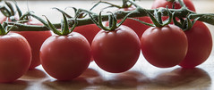 Tomatoes, Vine