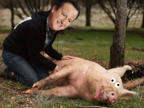 David Cameron Pig Fucking Wanker b3ta