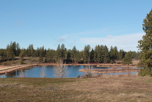 lake washington pond spokane hiking plateau wildlife columbia trail cheney refuge stubblefield turnbull