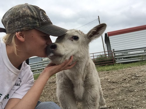 kiss calf selfie