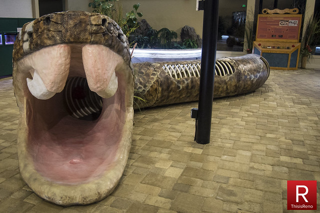 Snakes Alive at The May Museum