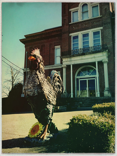 kentucky clinton courthouse rooster hickmancounty hipstamatic