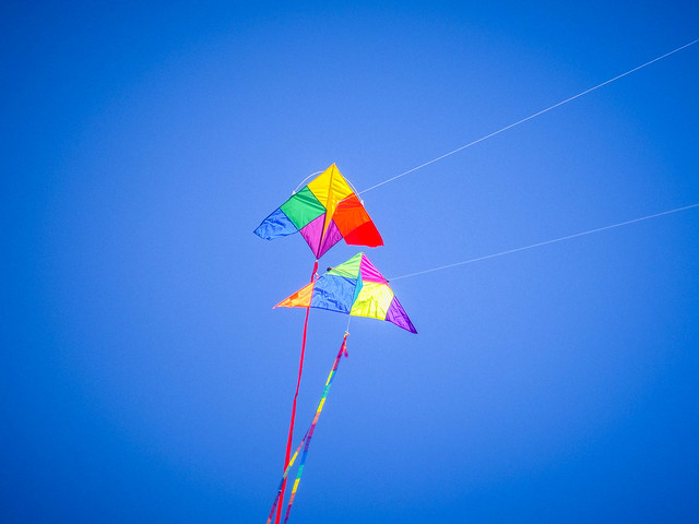 Kites and Drones at Legacy Park-026
