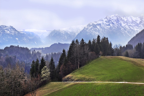 sky mist mountains clouds forest austria meadows salzburgerland rurallane weiteneau