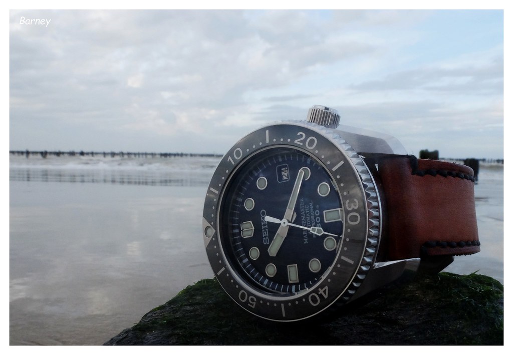 MarineMaster 300 owner's club - tome XX - Page 43 24162198230_ed463547a0_b