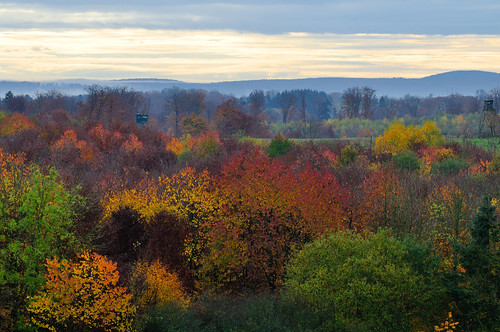 autumn trees forest automne landscape nikon arbres tamron paysages d90 foréts sp70300divcusd