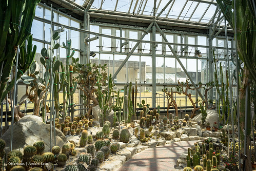 japan greenhouse botanicalgarden