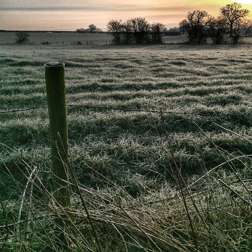 tree sunrise countryside frost outdoor fields twycross 366 a444 scottsimpson iphone6