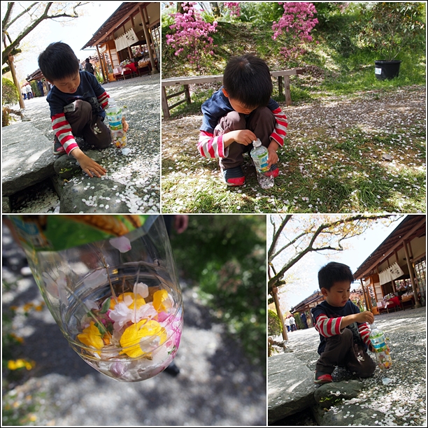 picking petals