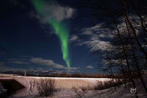 Northern Lights @ Abisko - Sweden