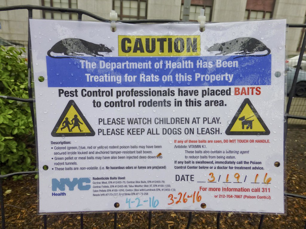Rat poison in Columbus Park