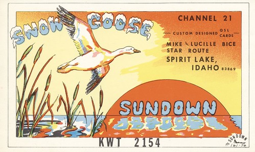 sun bird vintage sundown goose idaho qsl cb artistcard cbradio qslcard