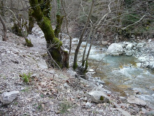 nature river hellas greece sparkling starfilter karpenisi