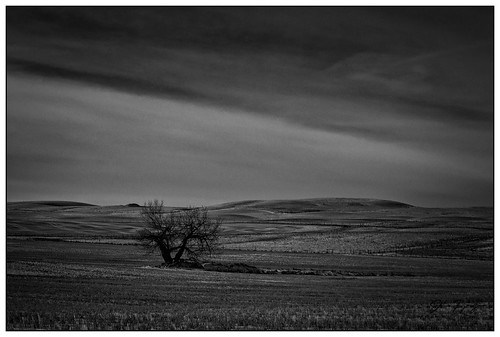 ca winter snow canada nature rural landscape photography alberta land prairie grassland lomond