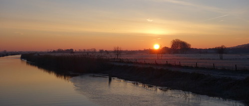 morning trees winter sky ice reed netherlands field sunrise landscape outdoor fiel waterscape gelderland ooijpolder
